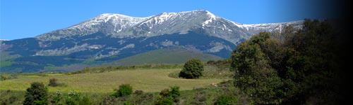 Restaurante Saboya 21